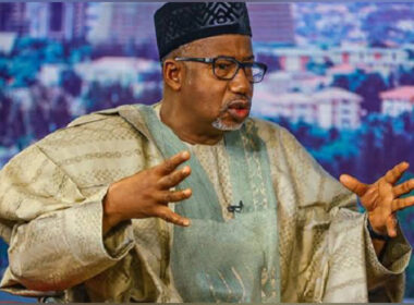 Why I Criticised President Tinubu - Bauchi Governor reveals