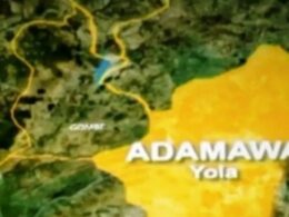 Adamawa: 3 Killed, Eight Injured In Herders-Farmers Clash