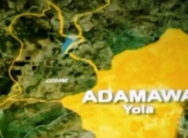 Adamawa: 3 Killed, Eight Injured In Herders-Farmers Clash