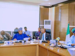 FG Sets 10-Member C'ttee To Enforce LG financial autonomy