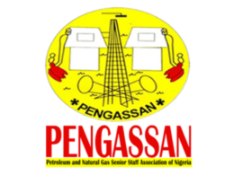 PENGASSAN Raises Alarm Over Influx of Indian Expatriates