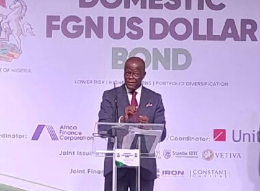 Nigeria Launches $500 Million Domestic Dollar Bond at 9.75% Interest