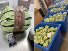 US Border Agents Seize Over $5M Worth of Meth Disguised as Watermelons