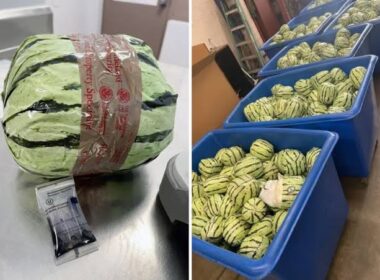 US Border Agents Seize Over $5M Worth of Meth Disguised as Watermelons