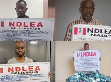 Shocking Drug Busts: NDLEA Nabs Businessmen, Seizes Billions in Codeine, and Exposes Major Smuggling Ring