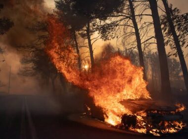 Greece Orders Mass Evacuations as Wildfires Rage Near Athens