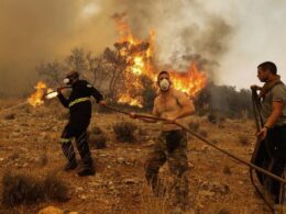 A Massive Wildfire Continues to Rage as Greece Calls for International Aid