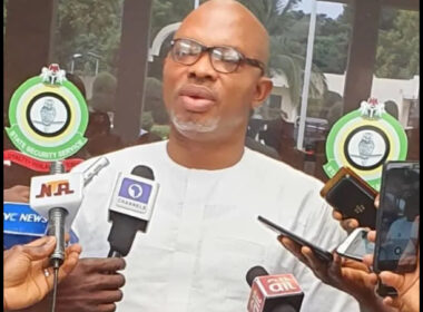 DSS Removes Peter Afunanya as Director of Public Relations