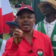 Petrol price has Finished The N70,000 minimum wage - NLC