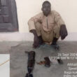 Notorious Boko Haram terrorist Surrenders in Borno