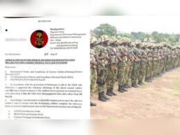 196 Soldiers Resign from Nigerian army Amid Corruption saga