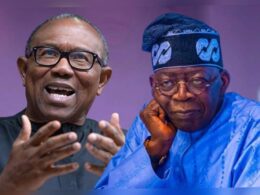 Peter Obi Denies Involvement in US Elections, Hits Back at FG Peter Obi Denies Involvement in US Elections