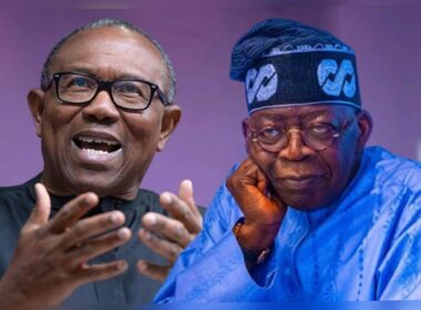 Peter Obi Denies Involvement in US Elections