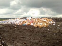 NAFDAC Destroys Substandard Products Worth ₦43bn in Oyo Adeyeye urged the public to support the agency in its fight against counterfeit drugs and unwholesome products by reporting manufacturers and businesses involved in illicit activities to the nearest NAFDAC office for investigation.