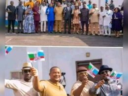 Court Dismisses Suit Seeking to Replace Pro-Wike Lawmakers