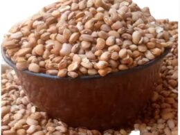 Tragedy in Enugu: School Proprietor’s Three Children Die After Eating Poisonous Beans