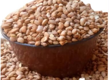 Tragedy in Enugu: School Proprietor’s Three Children Die After Eating Poisonous Beans