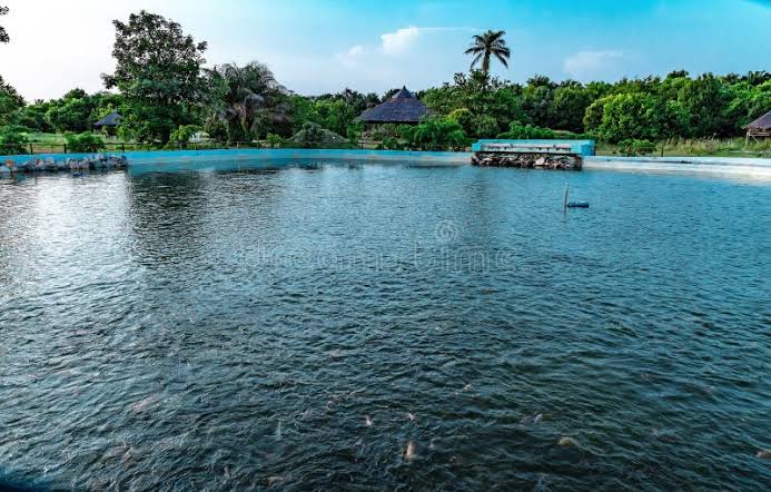 Travel Diaries: Hidden Gems in Nigeria You Need to Visit Travel Diaries: Hidden Gems in Nigeria You Need to Visit