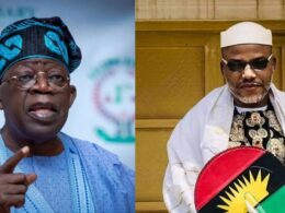 Jewish Priests Urge Tinubu to Release Nnamdi Kanu for Peace in South East Jewish Priests Urge Tinubu to Release Nnamdi Kanu for Peace in South East