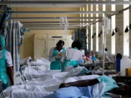 Cholera Outbreak in Adamawa: Seven Dead, 71 Hospitalized Following Severe Flooding