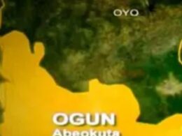 Ogun Wife Cuts Husband's Manhood in Dispute