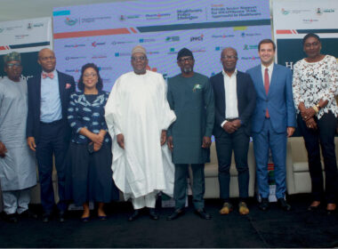 Nigeria's $3.3bn Methanol Plant Secures Gas Supply Deal