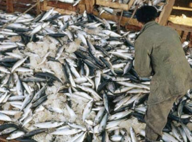 How Borno Flood Made Us Millionaires – Fishermen