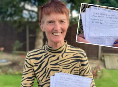 70-Year-Old Tizi Receives Job Application Reply from 1976