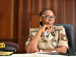 NIS Alerts Public to Rising Irregular Migration into Nigeria