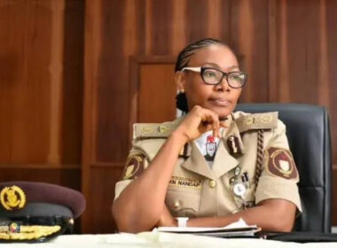 NIS Alerts Public to Rising Irregular Migration into Nigeria