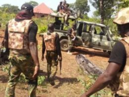 Nigerian Army kill 5 terrorists In Borno