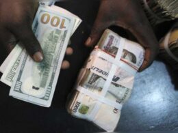 Naira Appreciates to N1,514/$1 in Parallel Market as CBN’s Forex Policies Take Effect