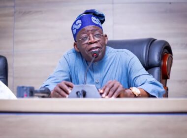 Nigeria Scraps VAT on Electric Vehicles, Diesel, CNG, to Reduce Living Costs