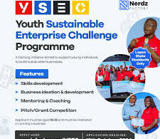Call For Applications: Youth Sustainable Enterprise Challenge Program (YSEC) Launches