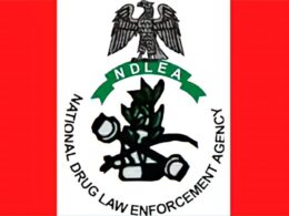 NDLEA Issues Statement on Husband's Approval for Married Women's Visa Clearance