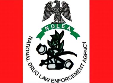 NDLEA Issues Statement on Husband's Approval for Married Women's Visa Clearance