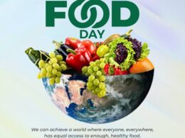 World Food Day: Nigerians Are Struggle for Survival