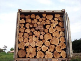 Nigeria Customs Service seize timber Worth $296 Million