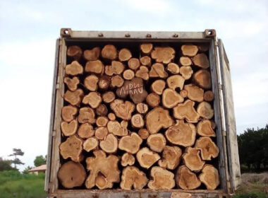 Nigeria Customs Service seize timber Worth $296 Million
