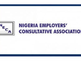 8 Out of 10 Jobs in Nigeria Stem from Our Members - NECA Reveals 8 Out of 10 Jobs in Nigeria Stem from Our Members - NECA Reveals