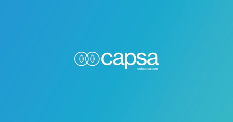 Capsa Technology Records 300% Growth