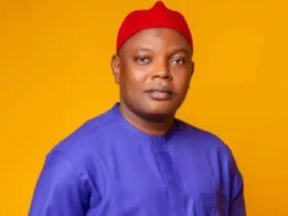 Enugu LG Chairman Defends SSA Appointments for Garden Egg, Yam, and Pepper
