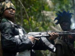 Imo Catholic priest released After 4 days in Captivity