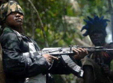 Imo Catholic priest released After 4 days in Captivity