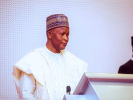 Former Minister Gwarzo Says Dismissal Not Linked to Performance