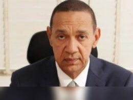 Murray-Bruce: My South African Partner Defrauded Me of $3.5m