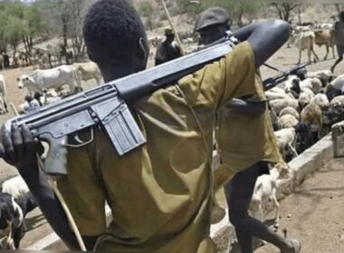 Suspected Herdsmen Kill 11 in Benue Christmas Day Attack