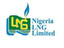 NLNG Opens Applications for 2024/2025 Undergraduate Scholarship Award