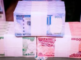 Nigerians Struggle to Repay N4.05 Trillion in Loans