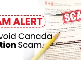 Ontario Targets Immigration Fraud with Tough New Legislation